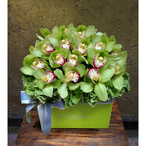 鮮花花盒花 - 荷蘭綠色惠蘭